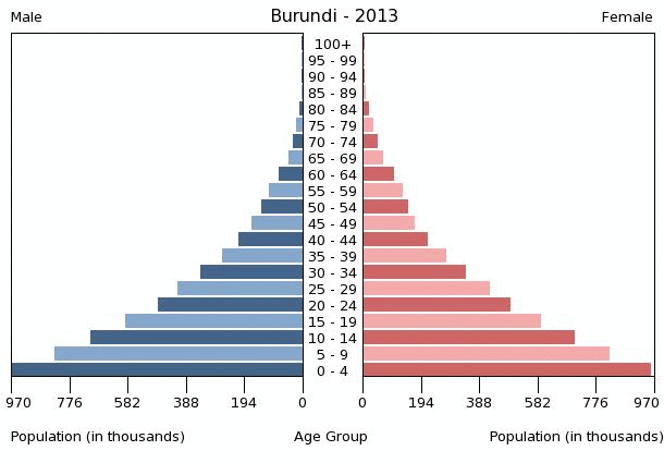 Description: C:UsersuserDesktopburundi-population-pyramid-2013.gif